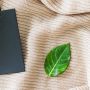 apoyar a empresas y marcas sostenibles