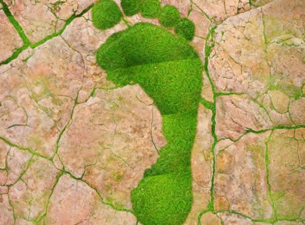 Transición ecológica